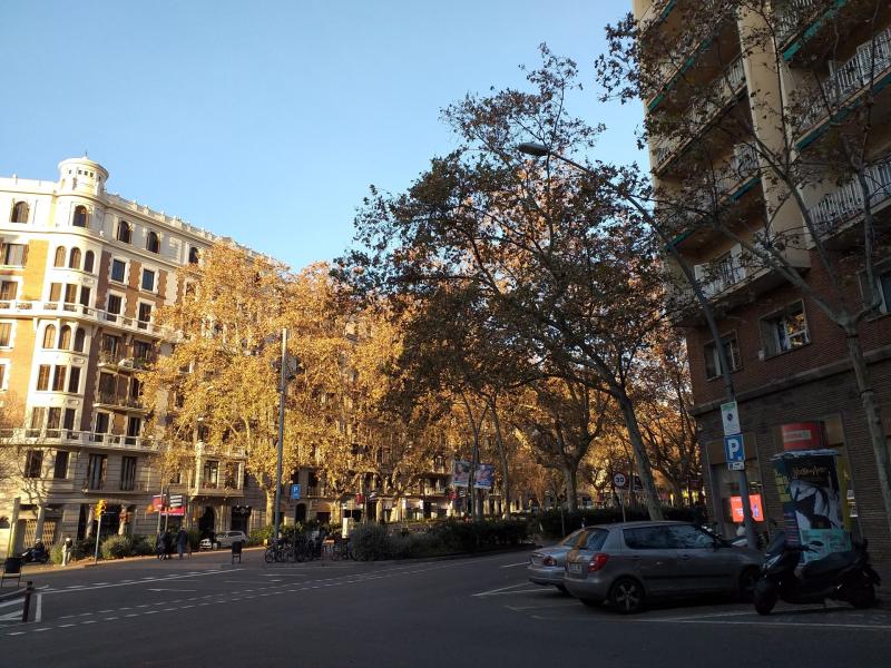 https://www.finquesfeliu.es/TAAFSynch/imagesNW/4576_1_1760527391.jpg