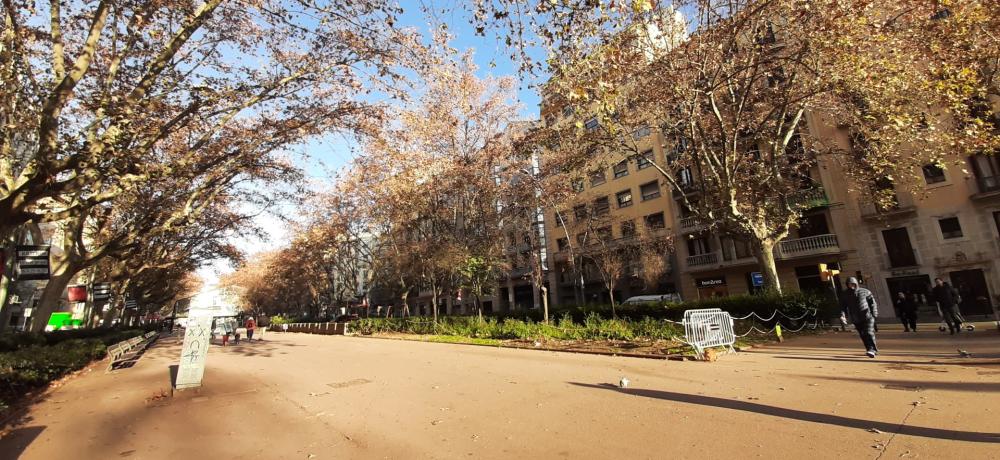 https://www.finquesfeliu.es/TAAFSynch/imagesNW/4576_43_1760527391.jpg