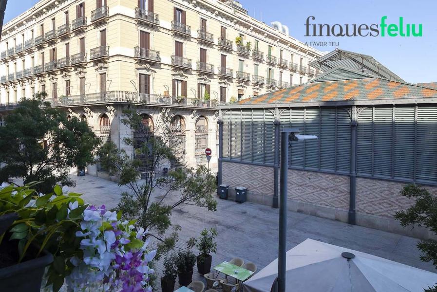 https://www.finquesfeliu.es/TAAFSynch/imagesNW/4705_46_1783443890.jpg